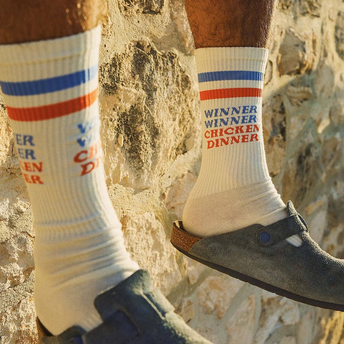 Skwosh Chicken Dinner Socks in Multi Stripe: White / OS