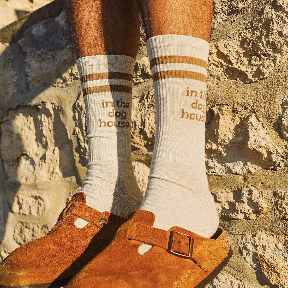Skwosh Dog House Socks in Brown Stripe: Brown / OS