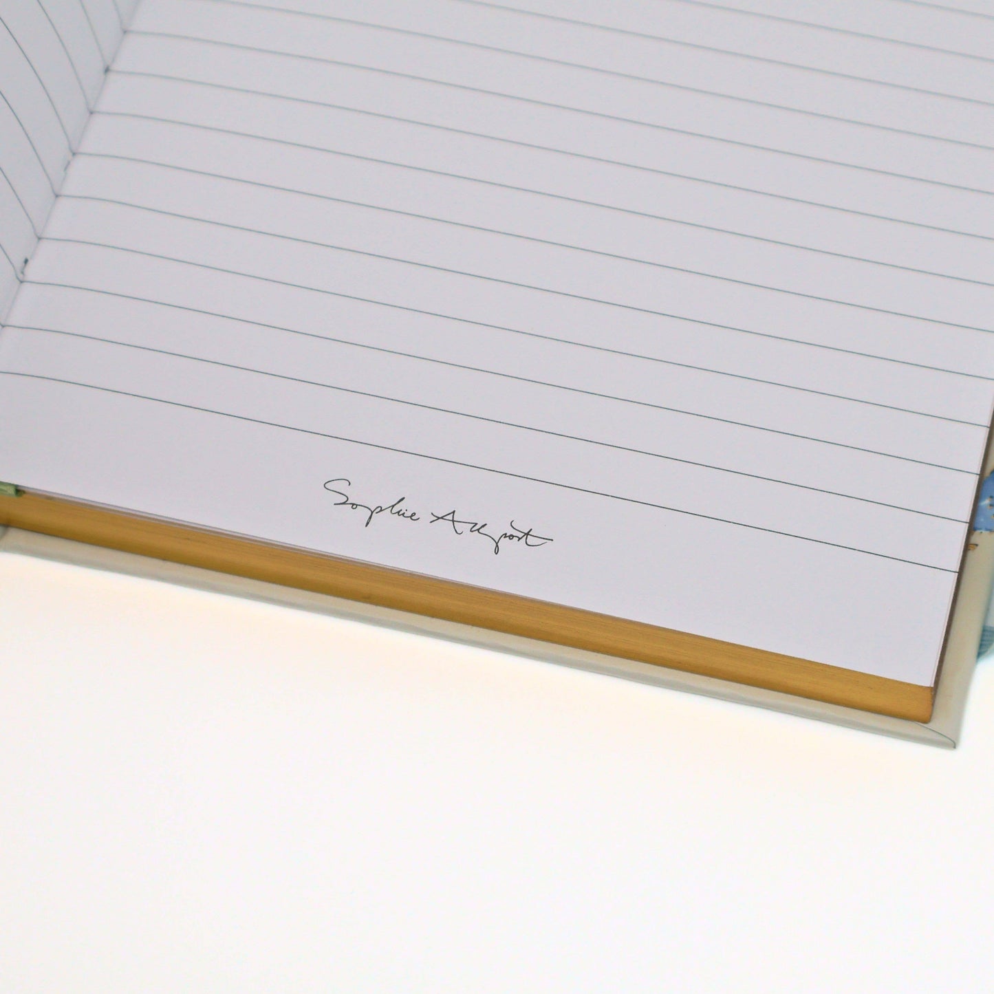 Sophie Allport A5 Notebook Hardcover Hens Journal Blue Gift