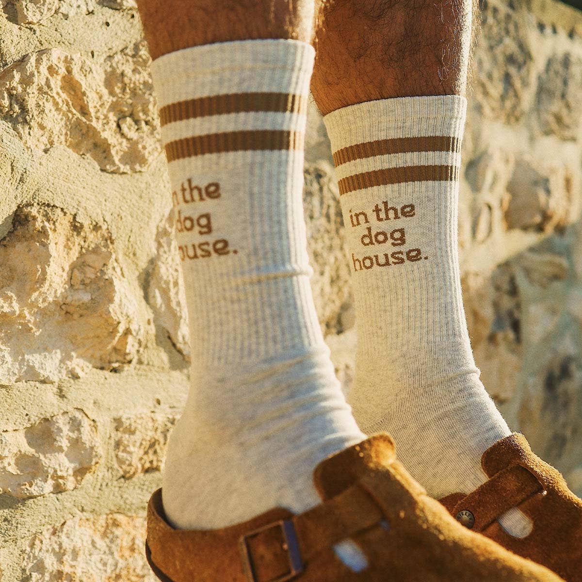 Skwosh Dog House Socks in Brown Stripe: Brown / OS