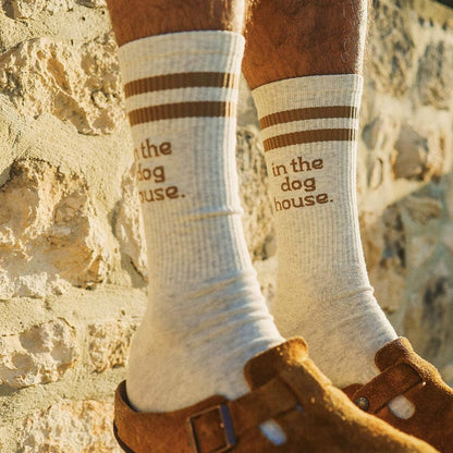 Skwosh Dog House Socks in Brown Stripe: Brown / OS