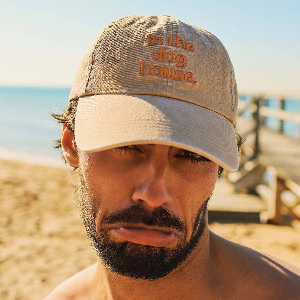 Dog House Cotton Cap in Brown: Brown / OS