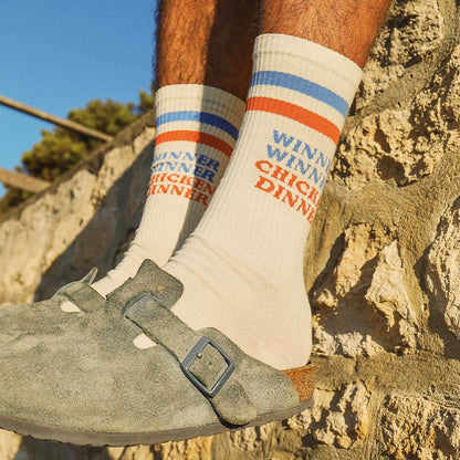 Skwosh Chicken Dinner Socks in Multi Stripe: White / OS