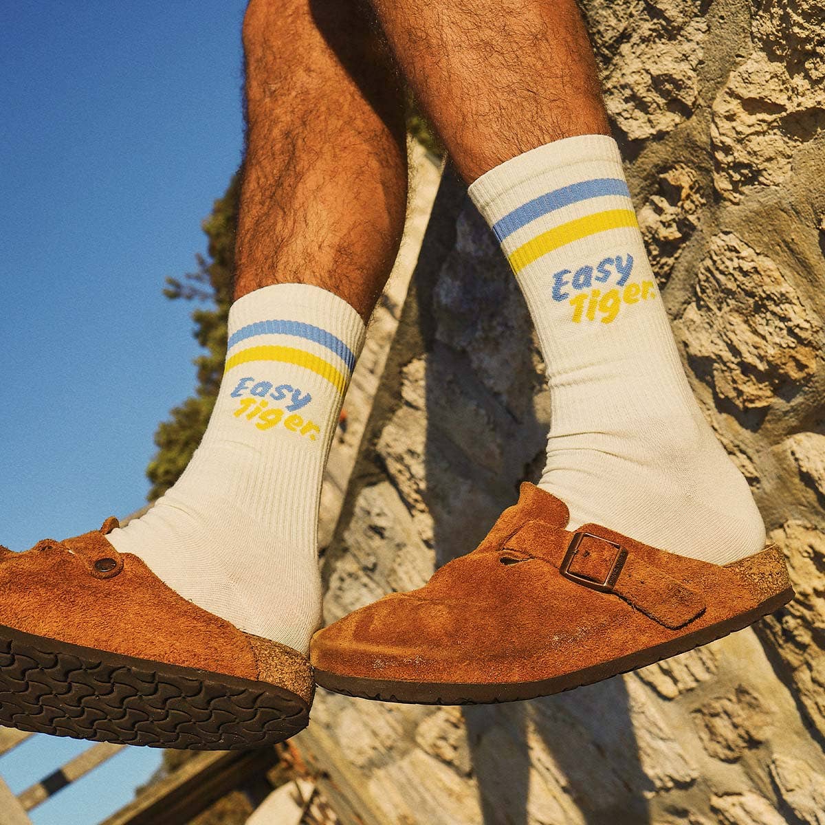 Skwosh Easy Tiger Socks in Multi Stripe: Multi Stripe / 6-10