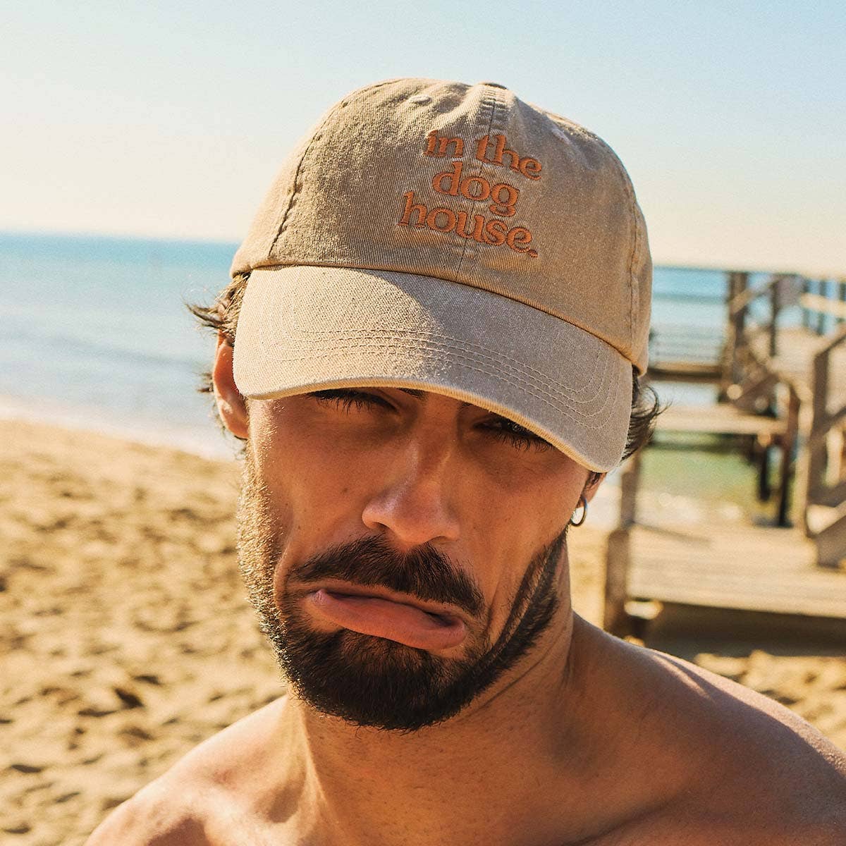 Dog House Cotton Cap in Brown: Brown / OS