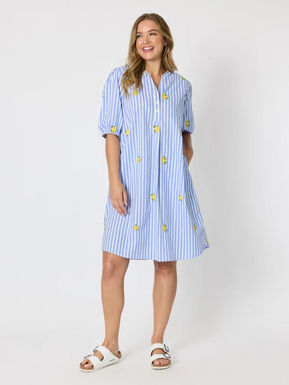 Threadz Spritz Embroidered Stripe Print Dress - Blue/White