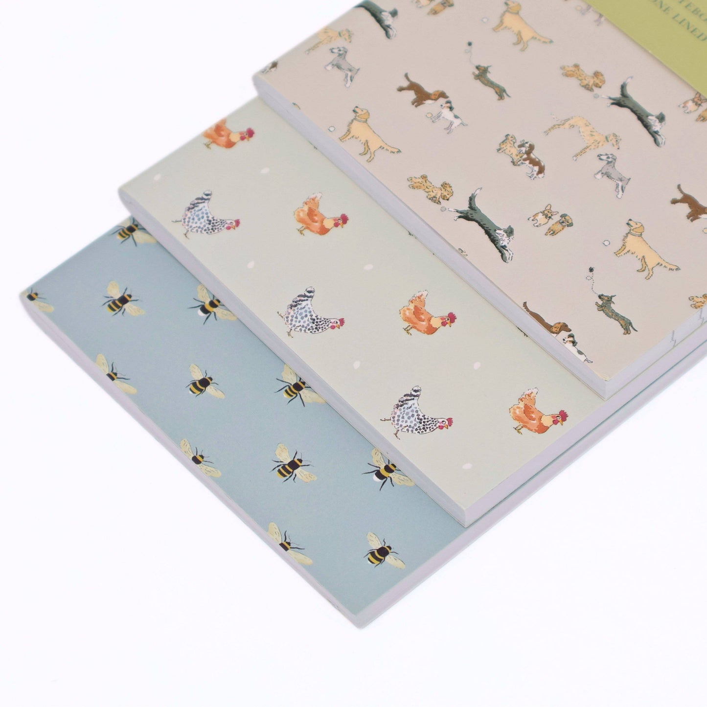 Sophie Allport Set (3) A6 Notebook Softcover Gift Animals