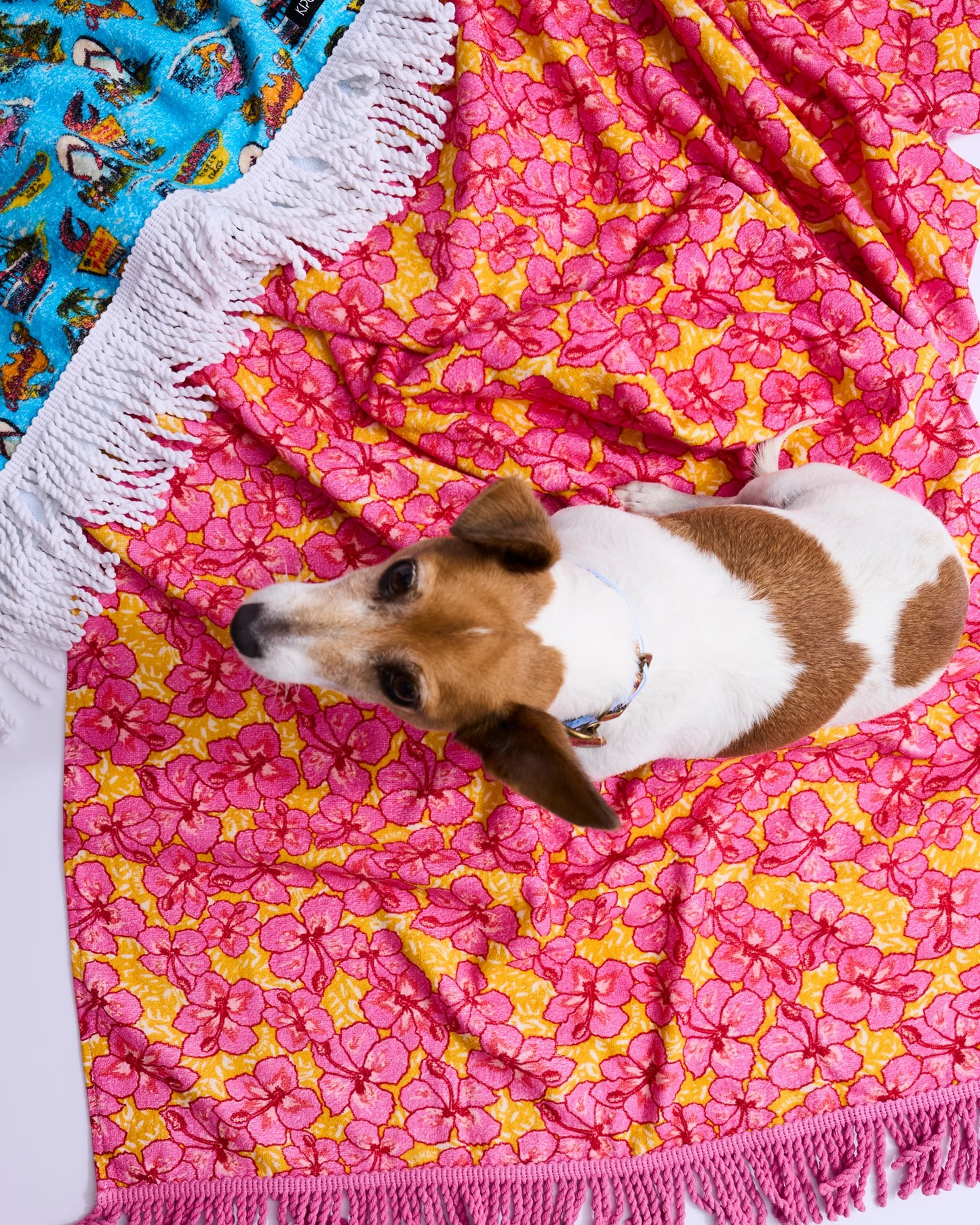 Kip&Co x Mambo Funshine Coast Printed Terry Beach Towel