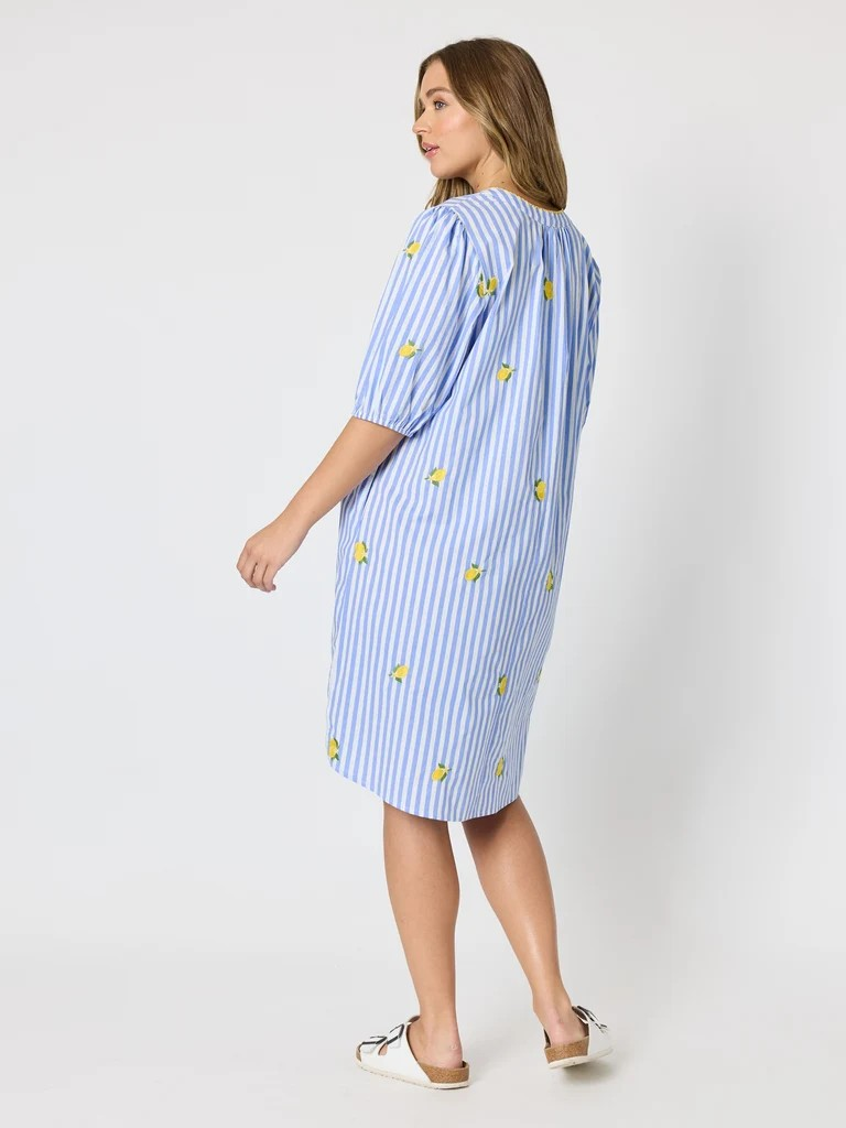 Threadz Spritz Embroidered Stripe Print Dress - Blue/White