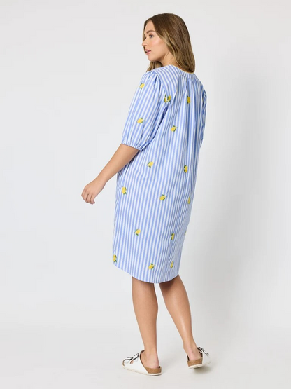 Threadz Spritz Embroidered Stripe Print Dress - Blue/White