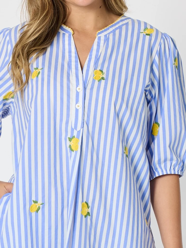 Threadz Spritz Embroidered Stripe Print Dress - Blue/White