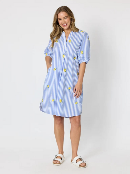 Threadz Spritz Embroidered Stripe Print Dress - Blue/White