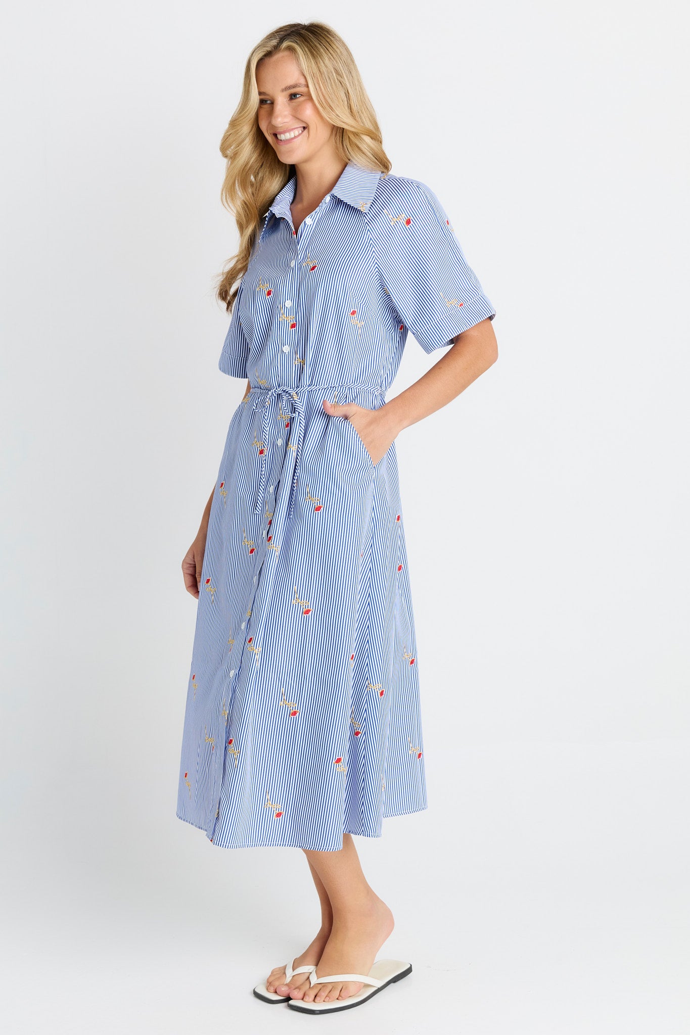 Betty Basics Shelley Shirt Dress - Rose Stripe Blue
